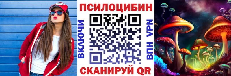 Галлюциногенные грибы мицелий  маркетплейс какой сайт  Кизляр 