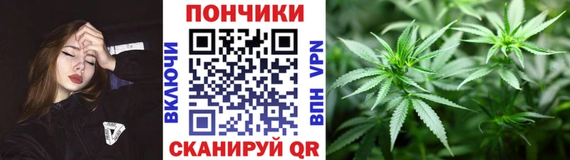 Марихуана Amnesia  где купить   Кизляр 